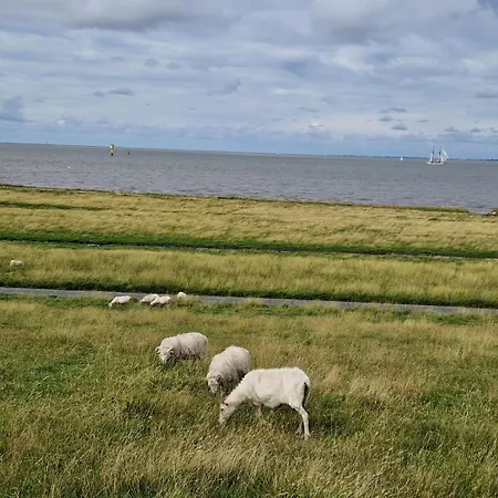 Casa de Férias Wellenbude