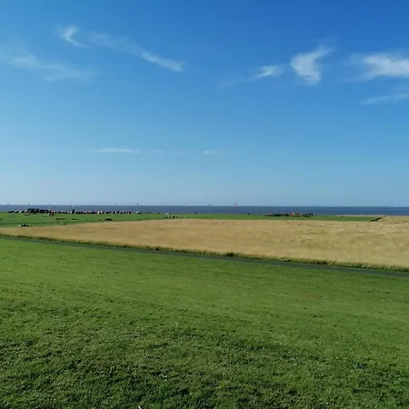 Wellenbude Holiday home *