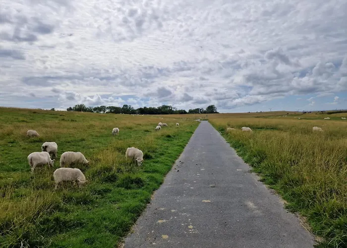 度假居 Wellenbude