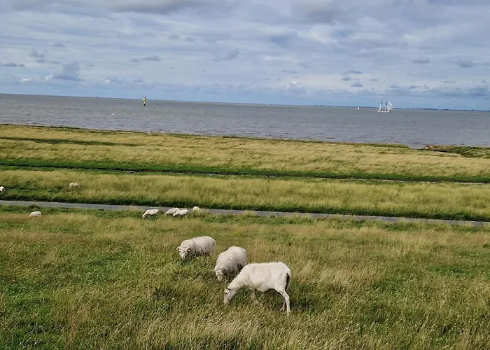 度假居 Wellenbude